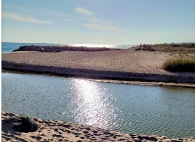 playa de arena nudista