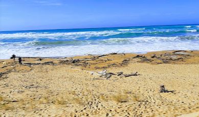 Playa de Pinedo