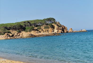 playa de arena nudista