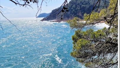 playa de arena nudista