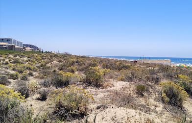 playa de arena nudista