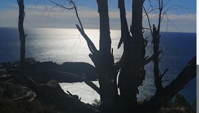 playa de arena nudista